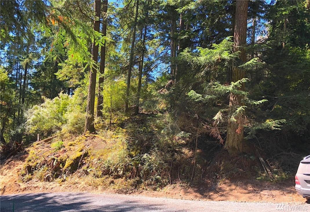 0 Roehl's Hill Rd. - Photo 1