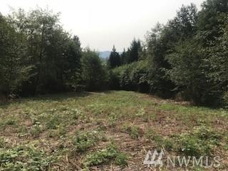 0 Lot 2 Twin Springs Dr - Photo 1