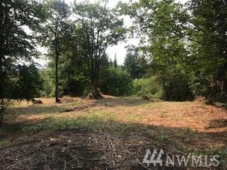 0 Lot 3 Twin Springs Dr - Photo 1
