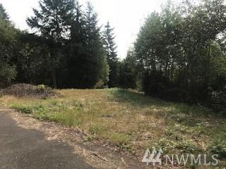 0 Lot 1 Twin Springs Dr - Photo 1