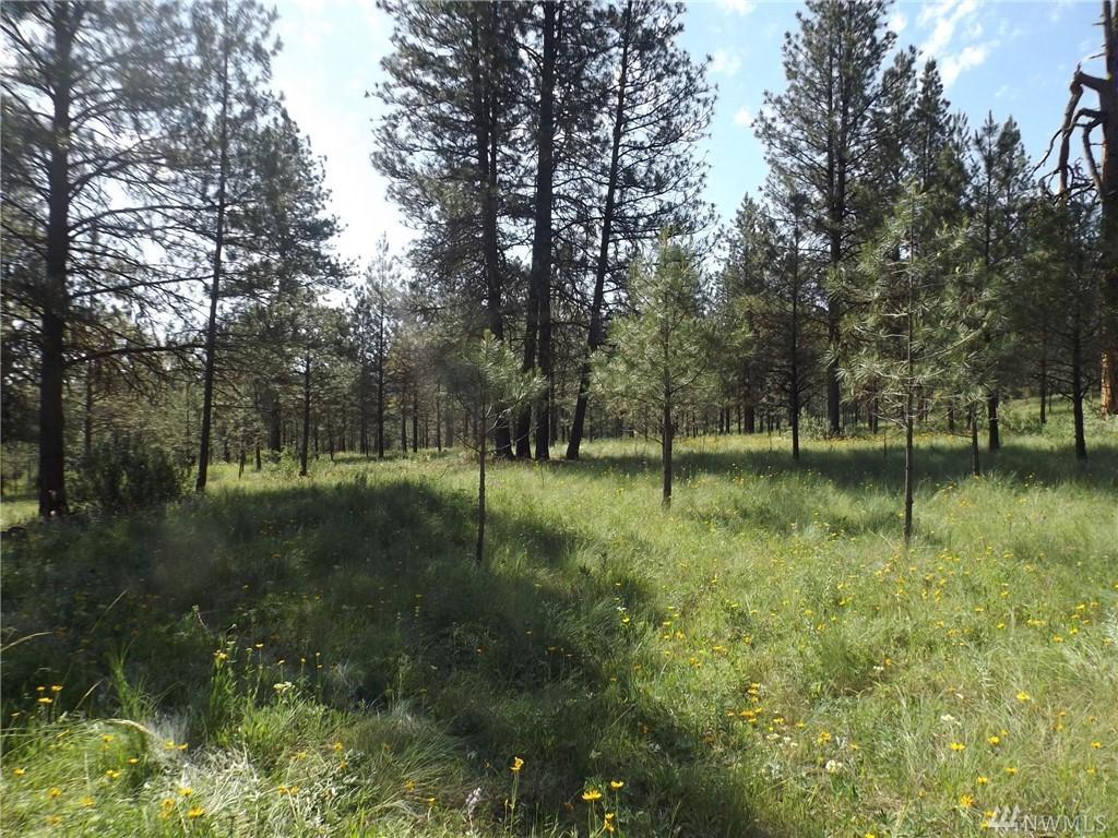 0 Lyman Lake Rd - Photo 1
