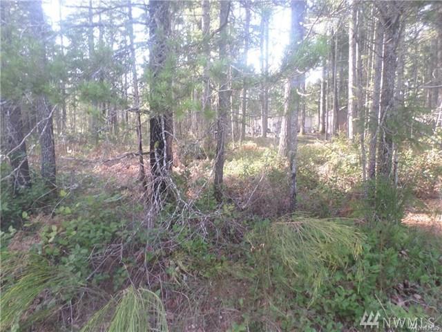 41 Varden Wy - Photo 1