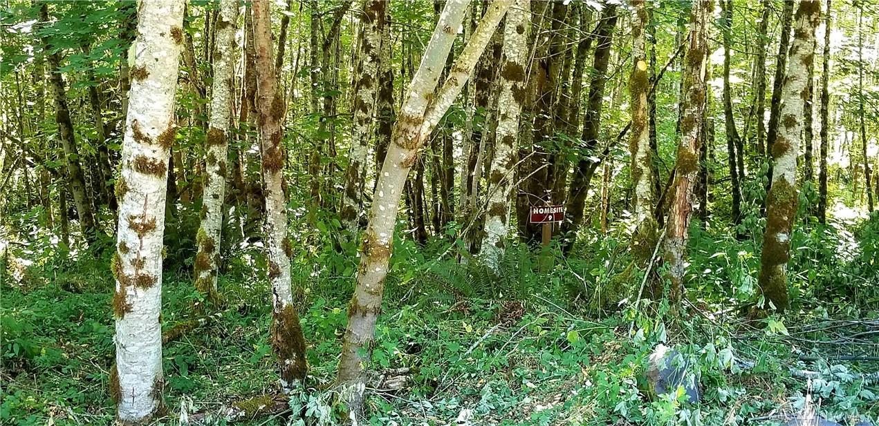 9 Misty Hill Rd - Photo 1
