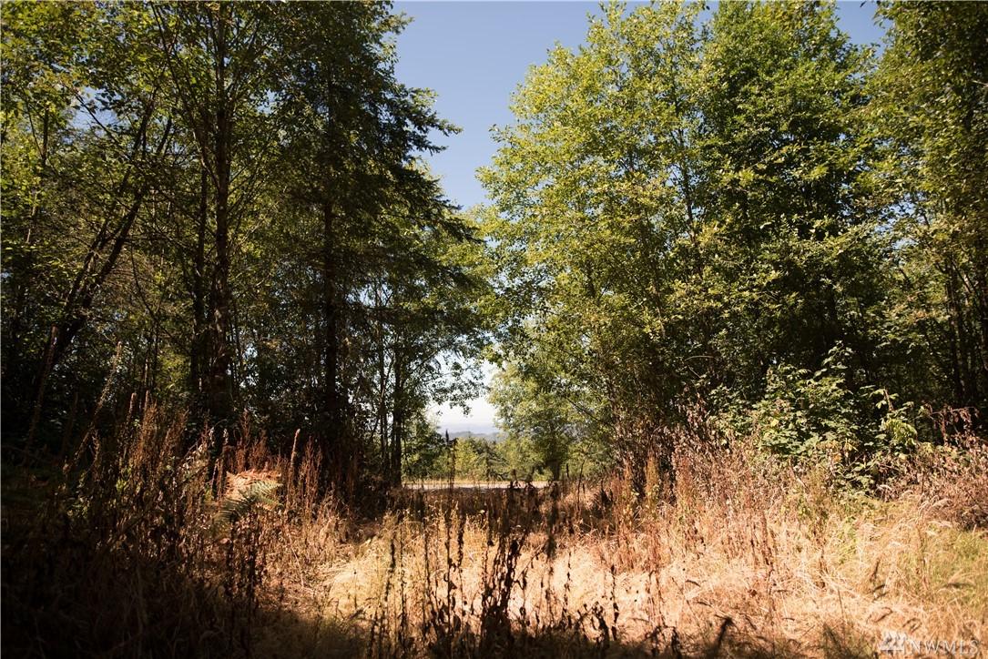 397 Ravenwood Rd - Photo 1