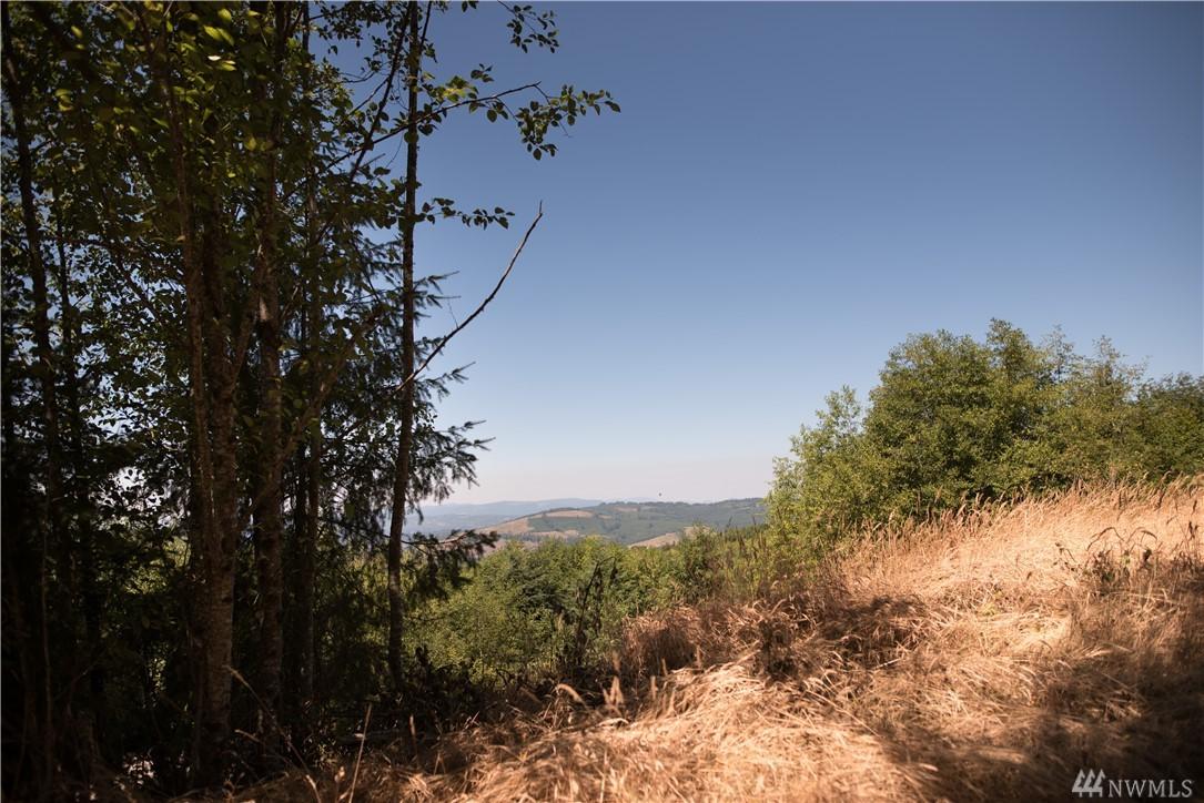 477 Ravenwood Rd - Photo 1