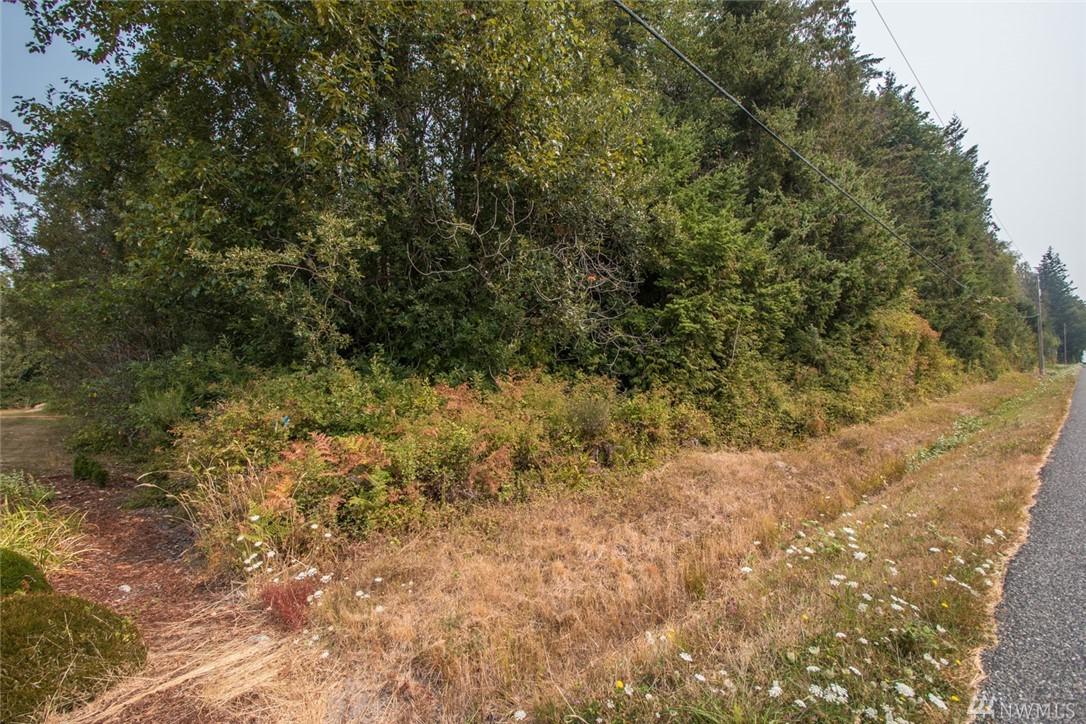 0 Halloran Rd - Photo 1