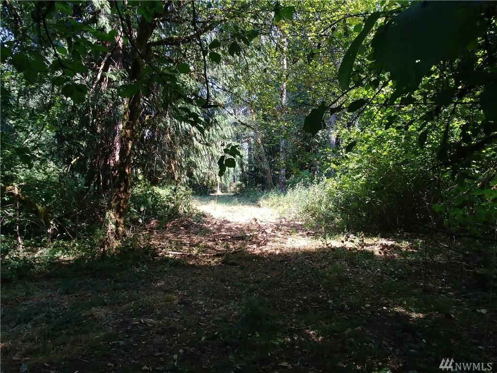 0 Tiger Lily Place - Photo 1
