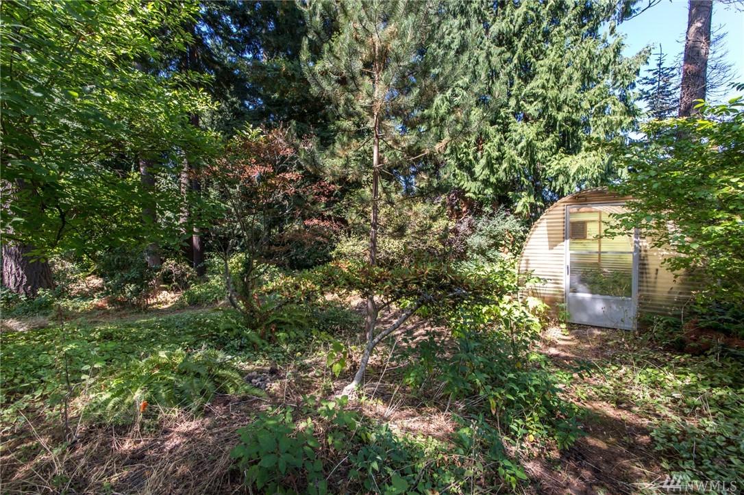 0 Juniper St - Photo 1