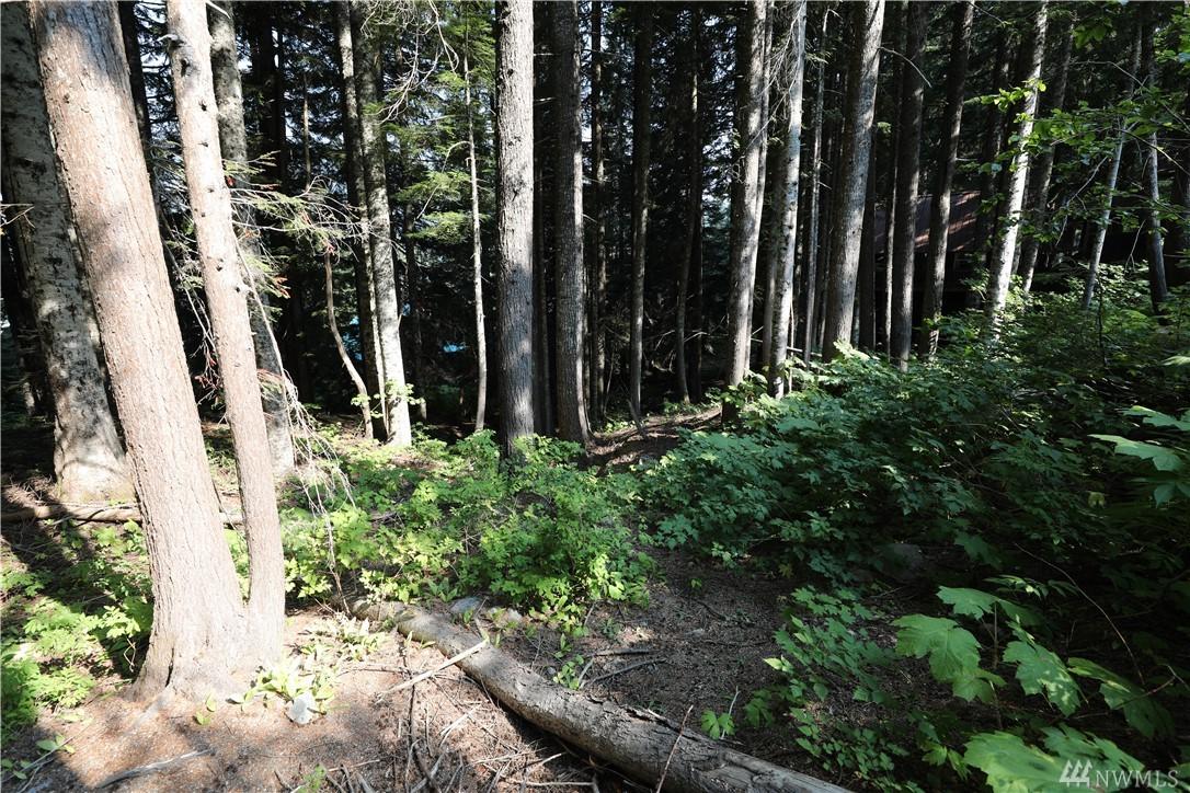 99-zz Snoqualmie Dr - Photo 1