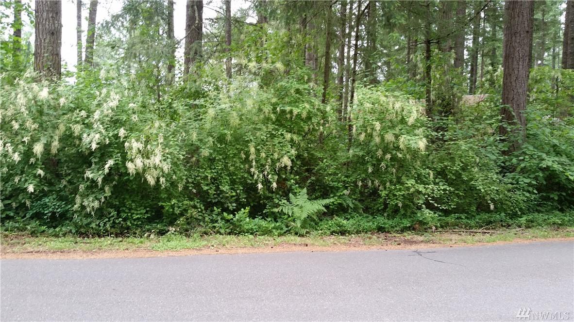 17930 Clearland Blvd - Photo 1