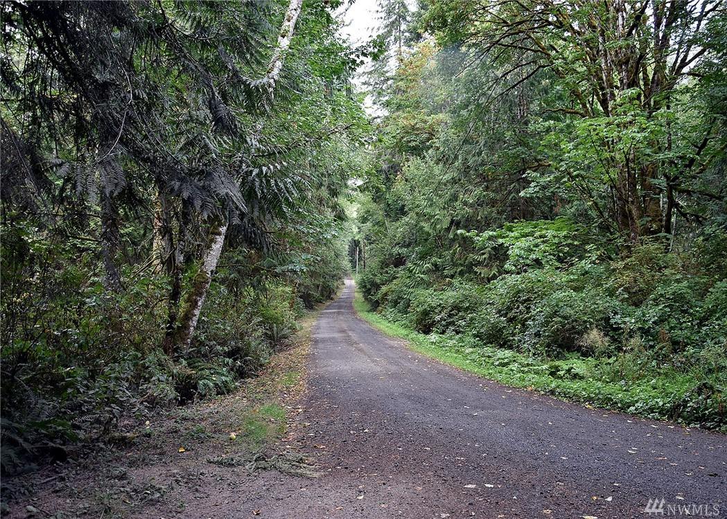 0 Seatter Rd - Photo 1