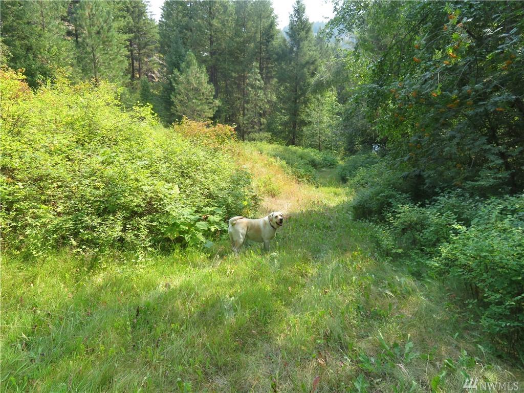 189 Avonlea Lane - Photo 1