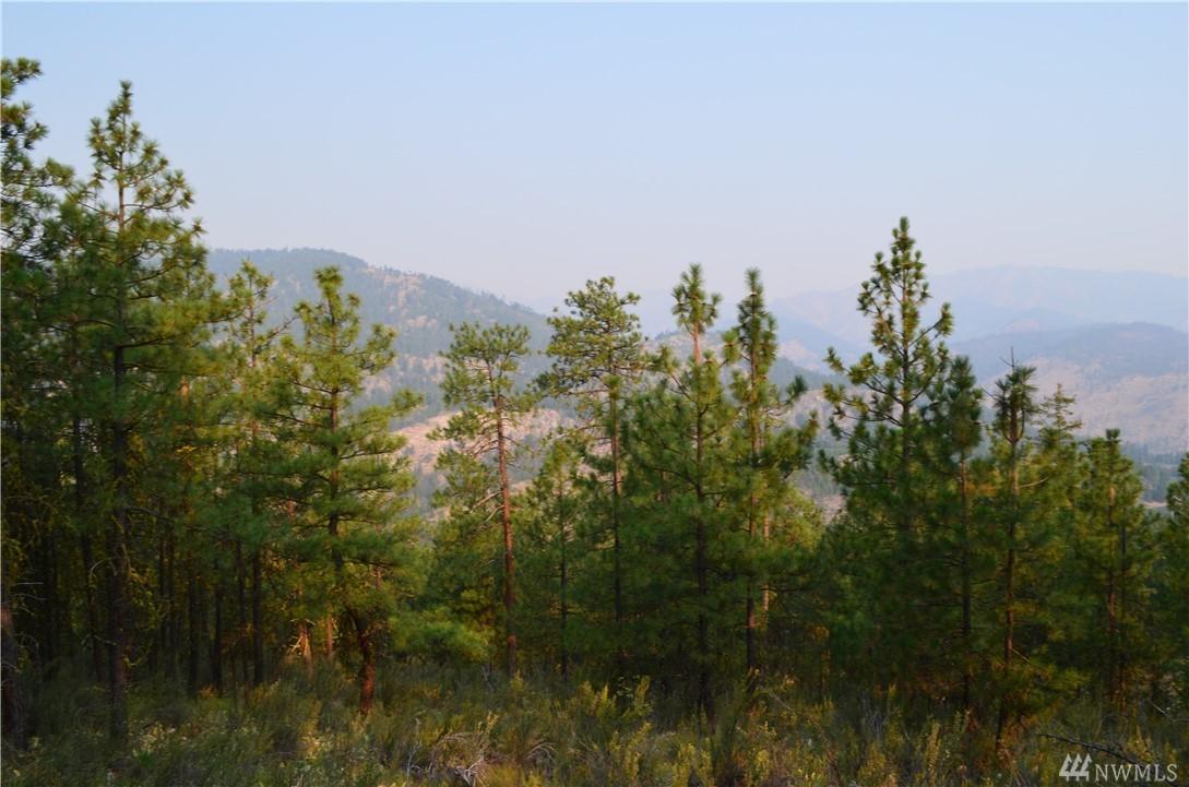 0 Bear Mountain Rd - Photo 1