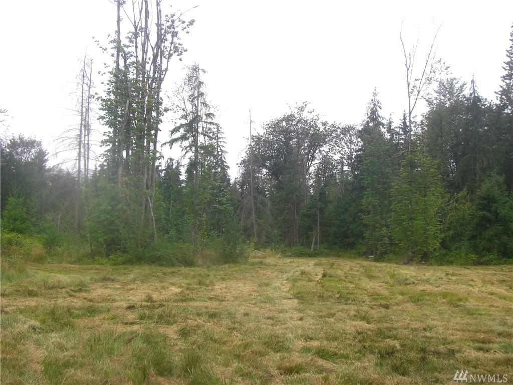 24-xx 177th Ave - Photo 1