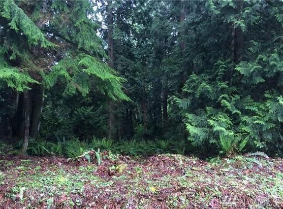 14618 14th Ave - Photo 1