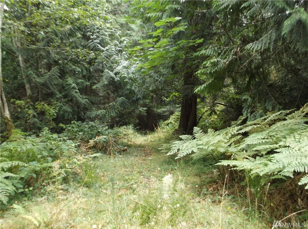 4-lot Sunset Hill Rd - Photo 1