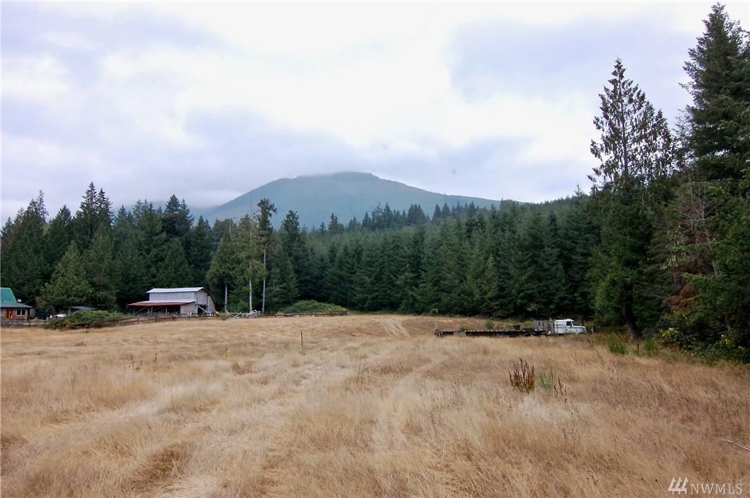 0 Duckabush Rd - Photo 1
