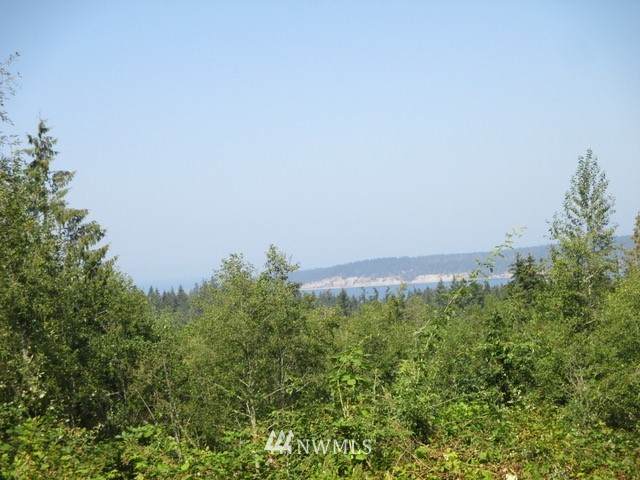 0 Oso Vista Court - Photo 1