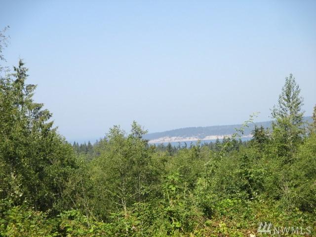 0 Oso Vista Ct - Photo 1