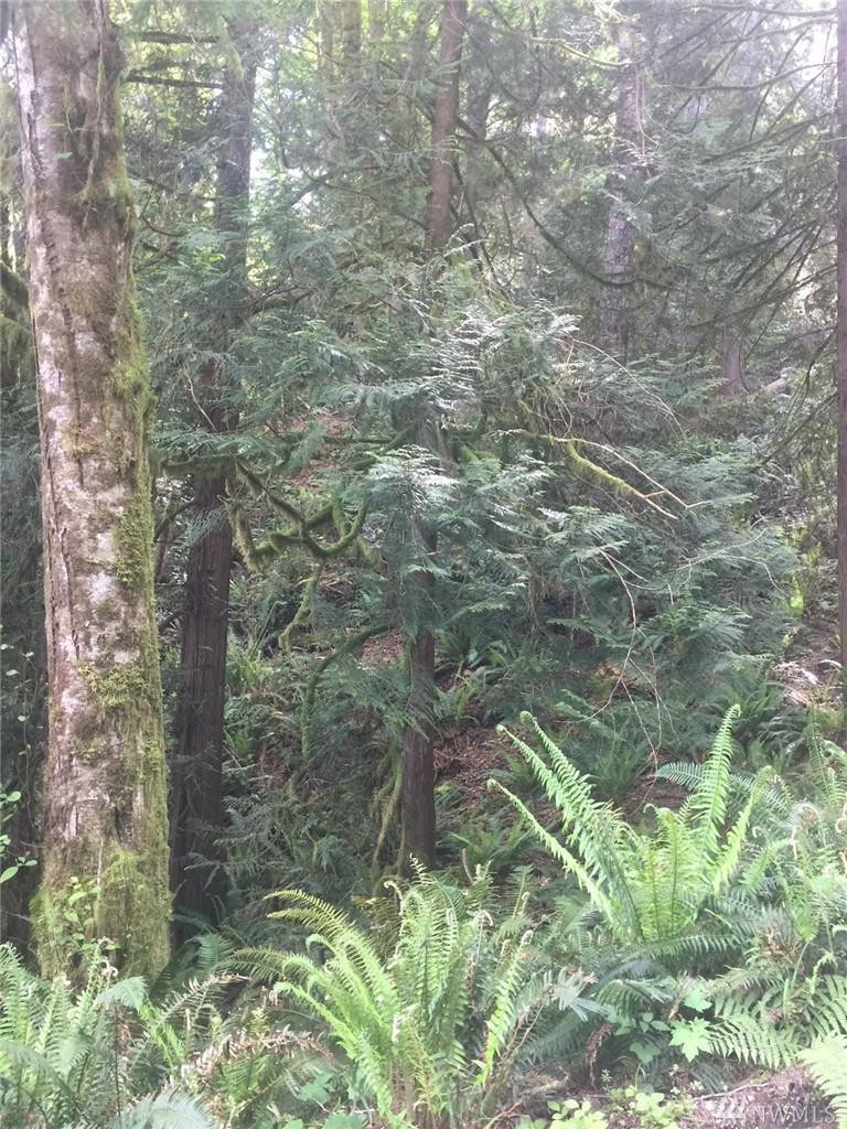 999 Central Valley Rd - Photo 1