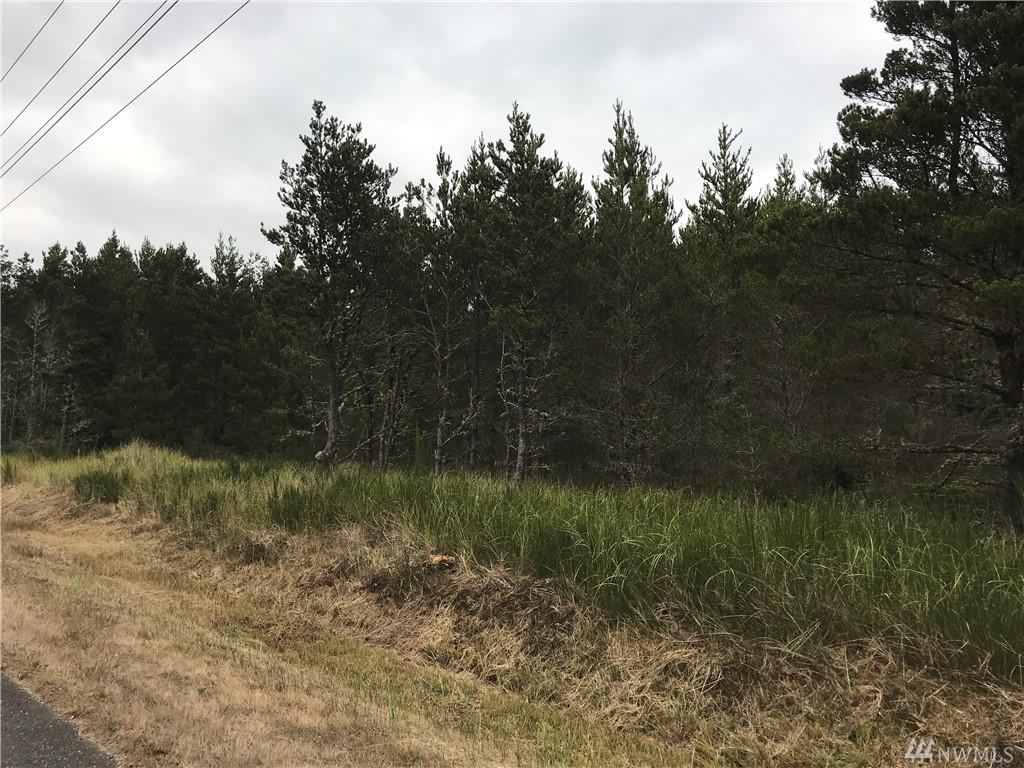 5 Forrest - Photo 1