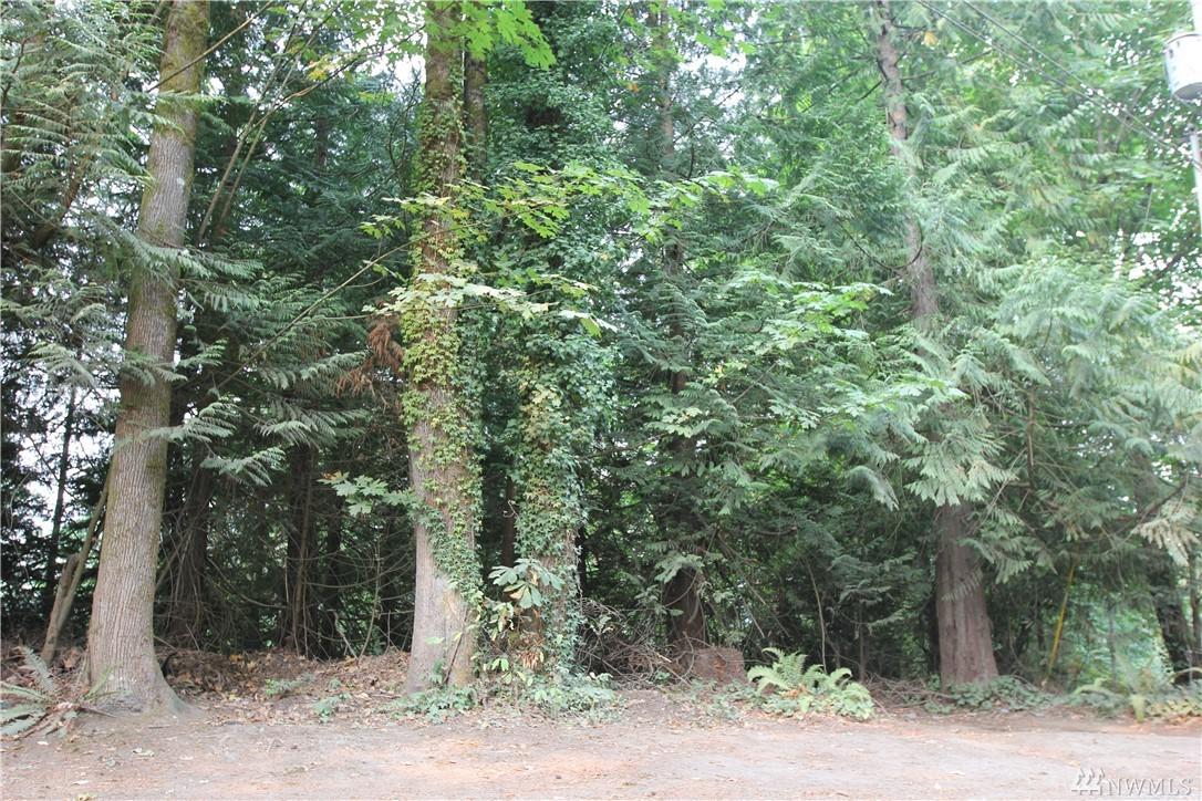 0 Island Lake Pkwy - Photo 1