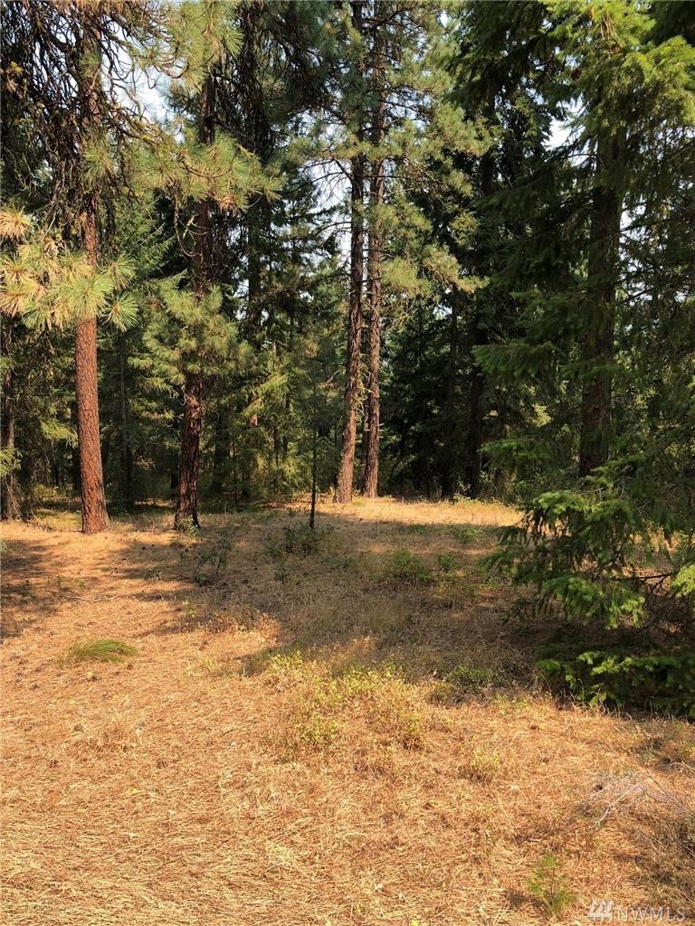 78-XX Lower Peoh Point (Lot 4) Rd - Photo 1