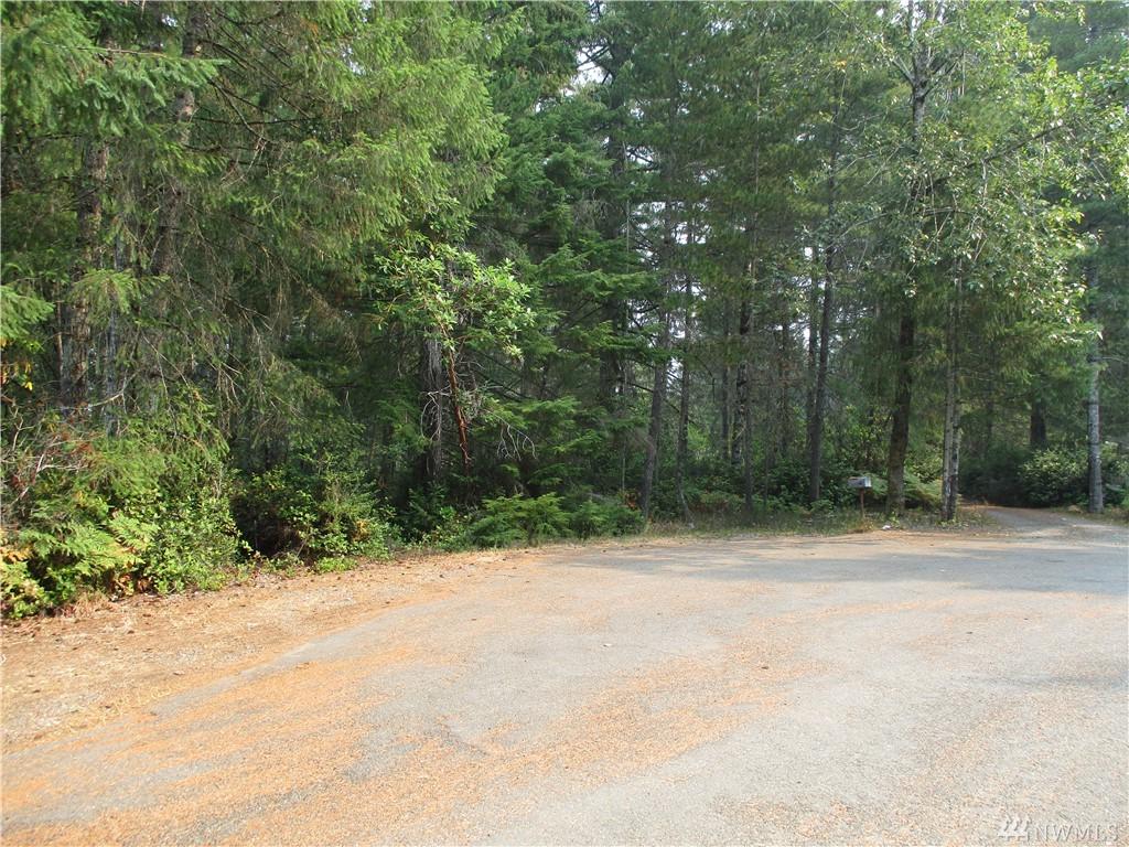0-Lot 12 Arellem - Photo 1