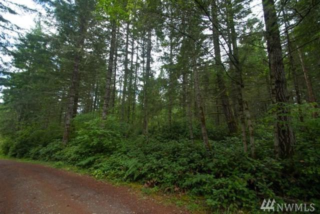 15-B Sherwood Hills Rd - Photo 1