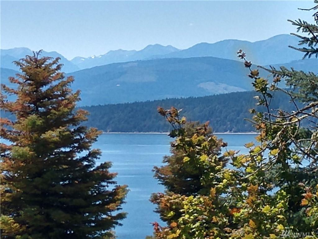 25-Lot 25 Quinault Lp - Photo 1