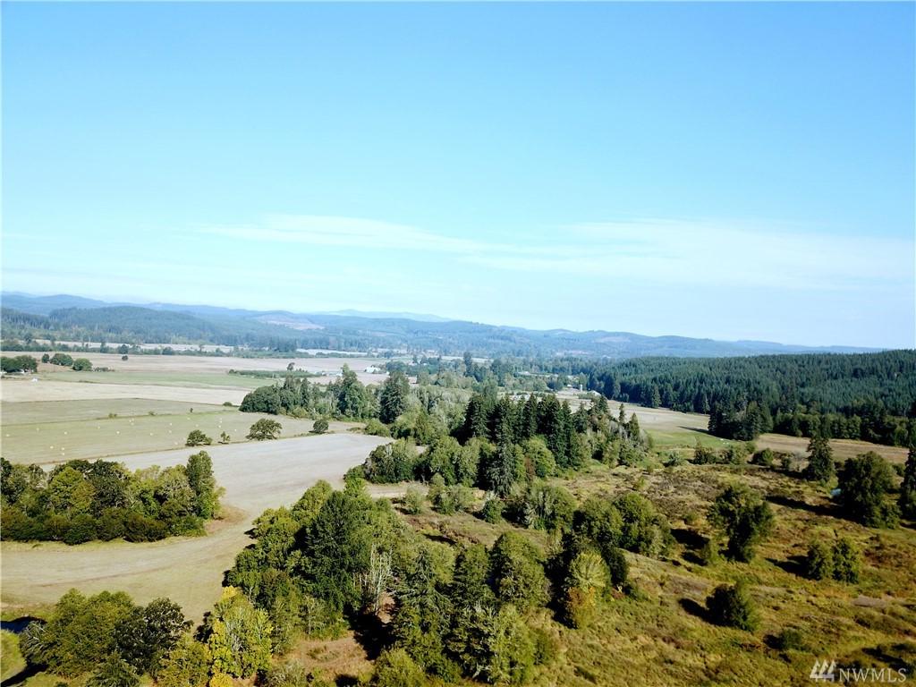 32646 Kahout Rd - Photo 1