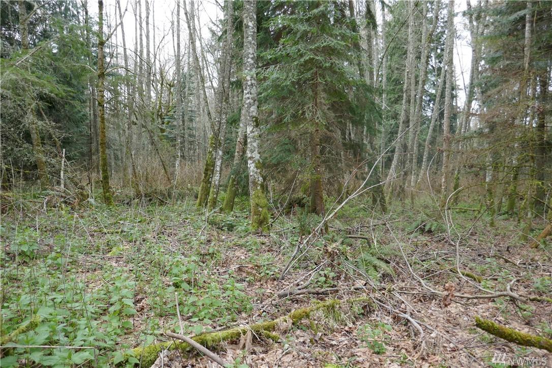 0 Parker Rd - Photo 1