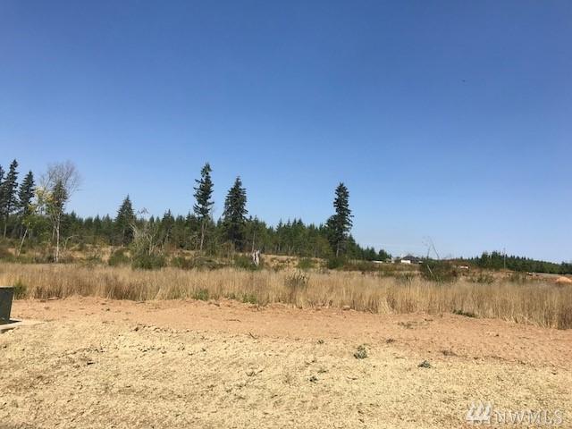 0-Lot 2 Remington Lane - Photo 1