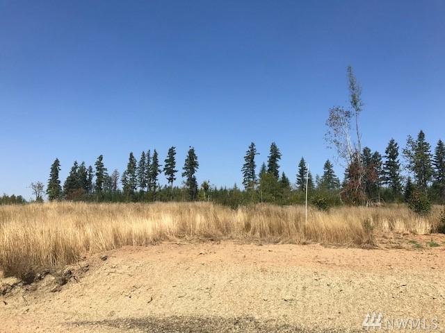 0-Lot 1 Remington Lane - Photo 1