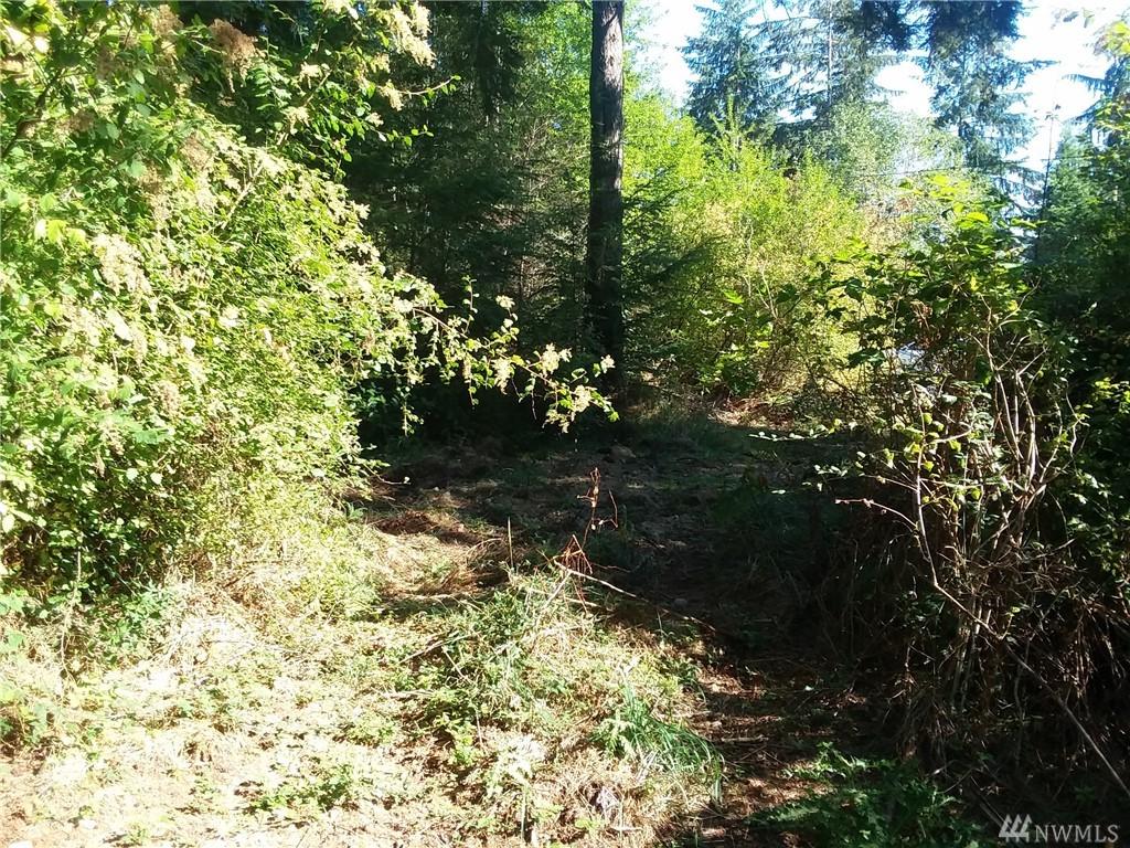 33-& 34 Sycamore Rd - Photo 1