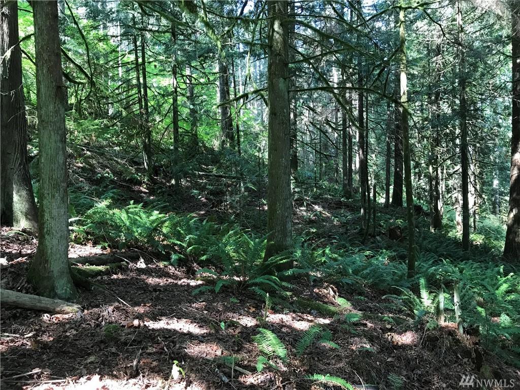 30631 Issaquah Fall City Rd - Photo 1