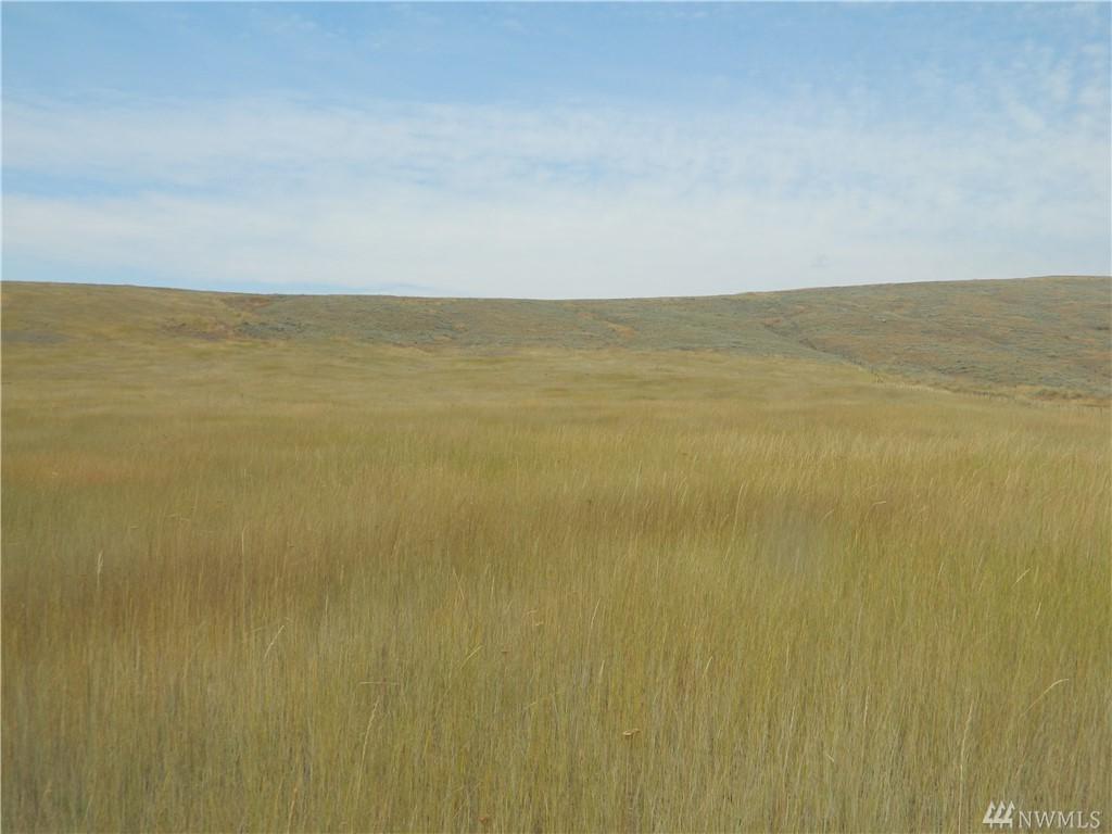 1111 Tbd Dammel Road - Photo 1