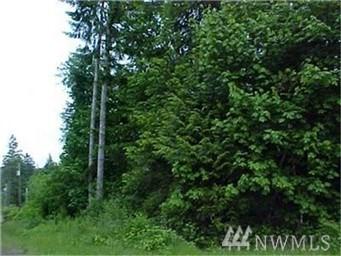 1-Lot Shorecrest Dr - Photo 1
