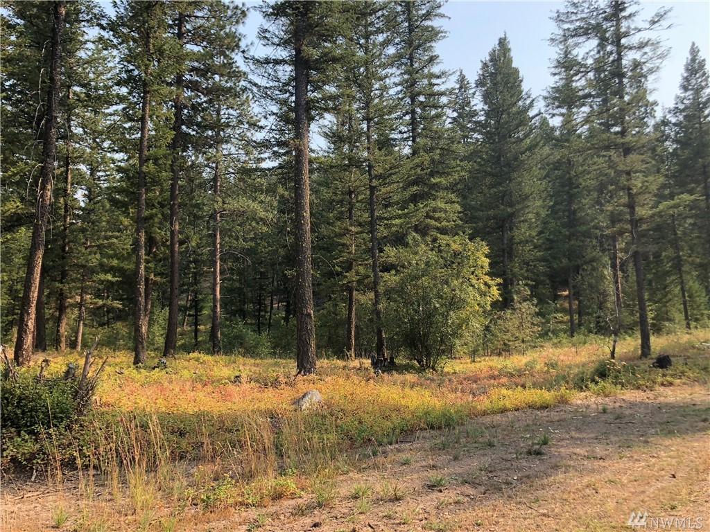147-LOT 147 Yellowleaf Rd - Photo 1