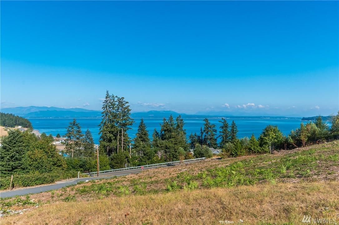 0 Polnell & View Haven Dr - Photo 1