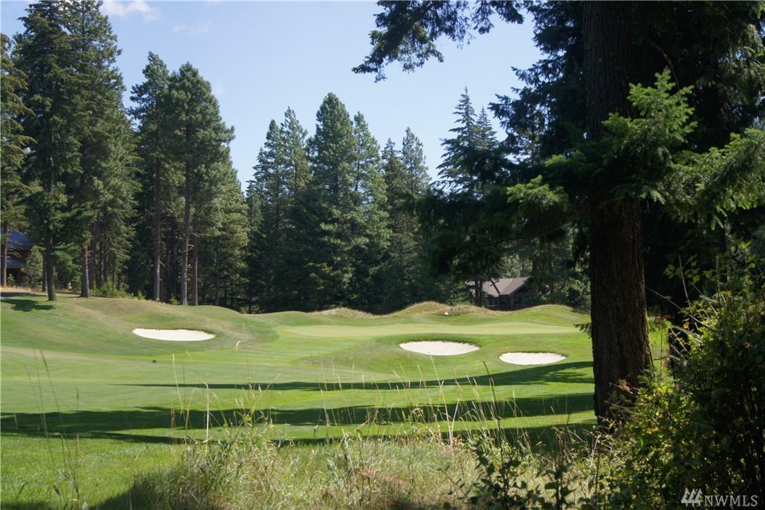 1120 Snowberry Lp - Photo 1