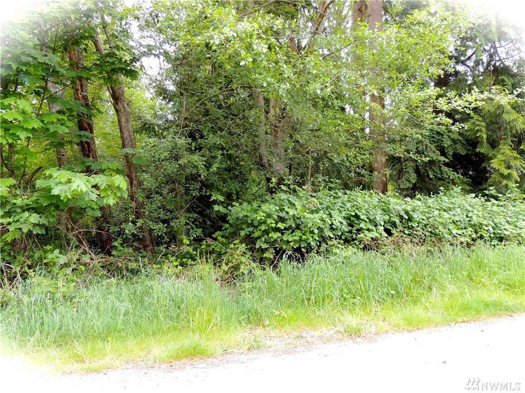 13 Douglas - Photo 1