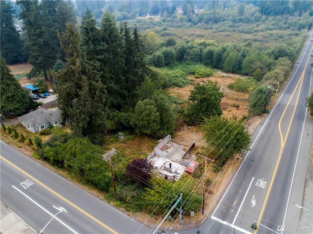 26965 124th Ave - Photo 1