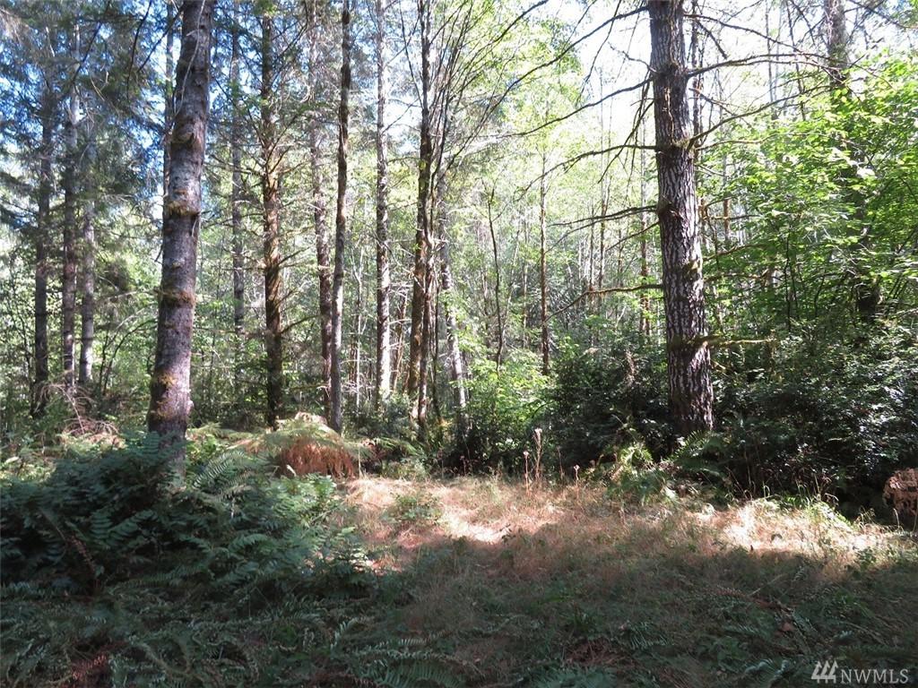 0 Thomas Dr - Photo 1