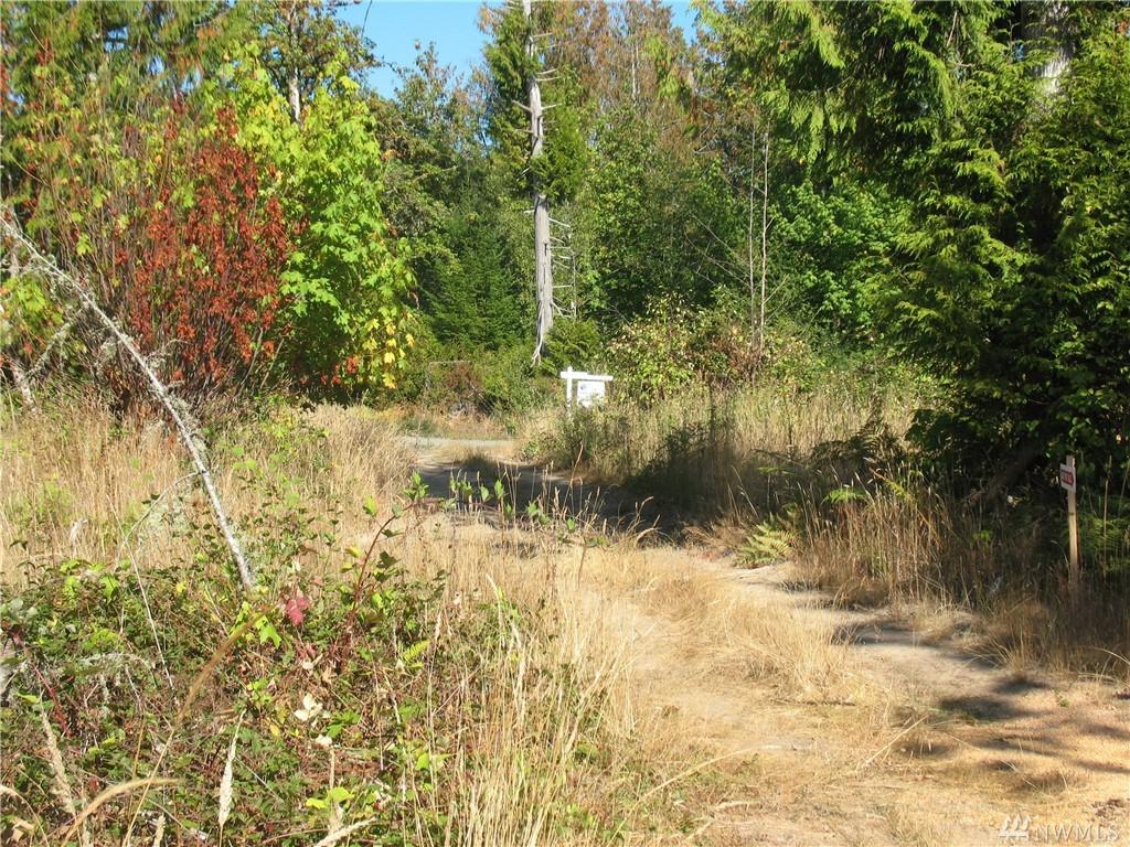 340 Orchid Lane - Photo 1