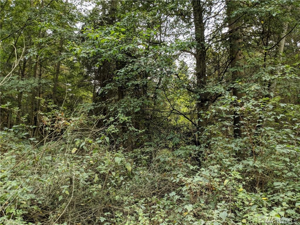 0 Piper Trail - Photo 1