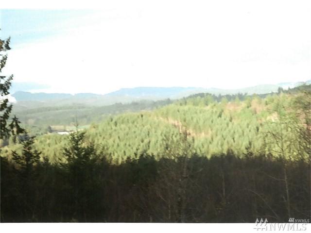 0-X Lots 1,2,3 Centralia-Alpha Rd - Photo 1