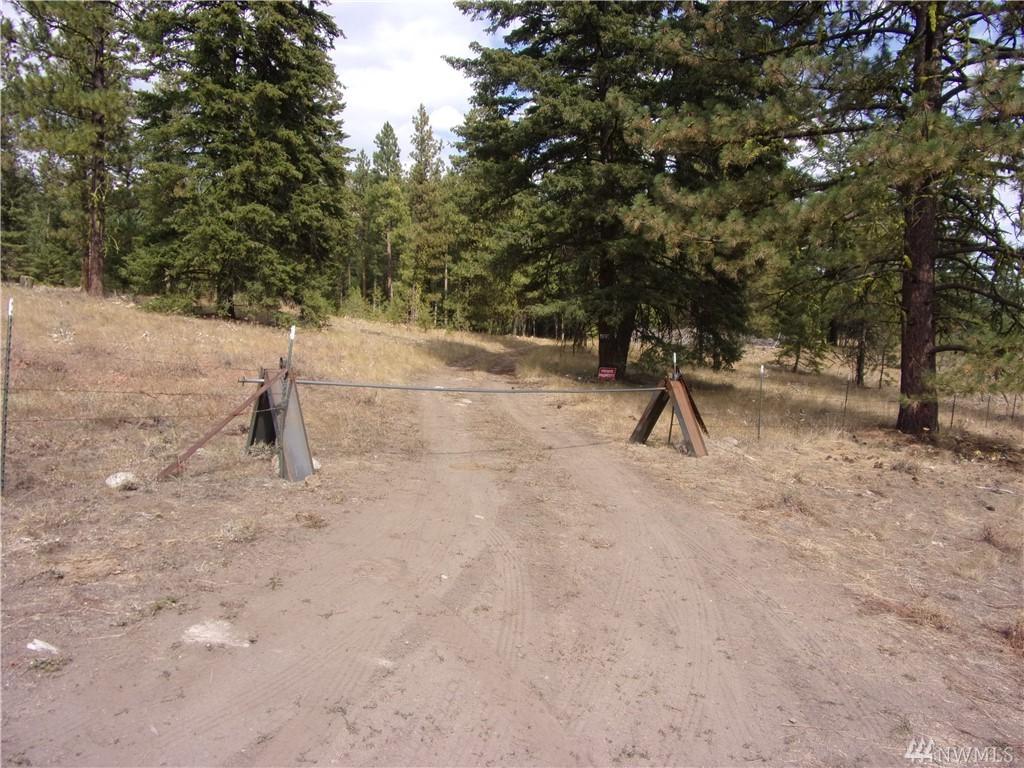 8-TBD Mineral Hill Rd - Photo 1