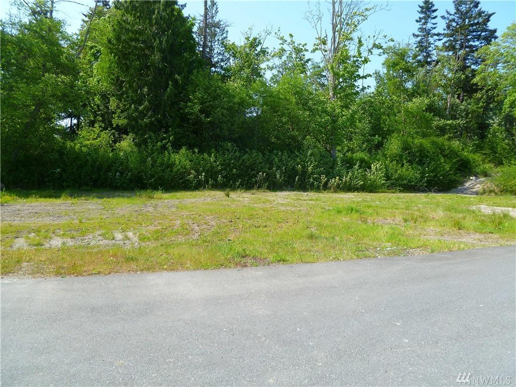 9023 Molly Lane - Photo 1