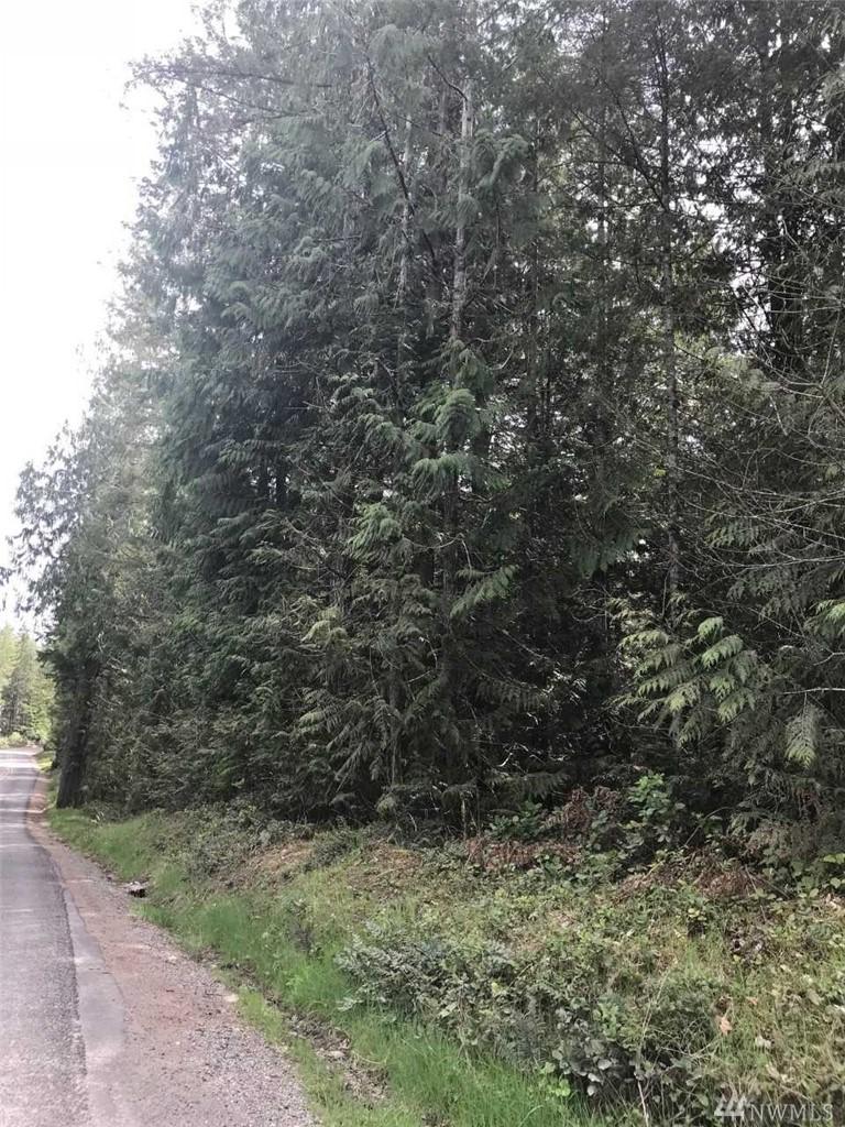 18705 Hintzville Rd - Photo 1
